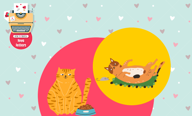 A Letter To My Cats: A Purrfect Tale Of Unconditional Love, Cuddles And Cattiness