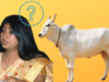 Assam BJP MLA Suman Haripriya Says She Has A Cure For Coronavirus. Researchers Are Smacking Their Head Because They Didn’t Think Of This First