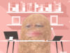 This Lady Boss Got Stuck With A Potato Filter Through An Important Work Video Conference Meeting And Gave Us The Much Needed Comic Relief