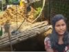 Babita Soren Dug A 15-Feet Deep Well Inside Her House So Her Mother Would Not Have To Walk Everyday To Fetch Water. She Is An Inspiration