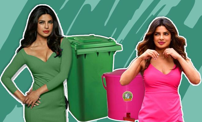 FI PeeCee's Activism Has People Comparing Her To Dustbins