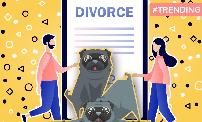 In A First Of Its Kind, Mumbai Couple Decides On Joint Custody Of Their Canines After Divorce. This Is Kind Of Pawfect