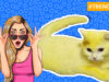 This Woman From Thailand Accidentally Dyed Her Cat Yellow And Now It Looks Like Pikachu!