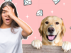 This Woman Announces Her Engagement By Putting Her Diamond Ring On Her Doggo’s Nose. This Didn’t End Well