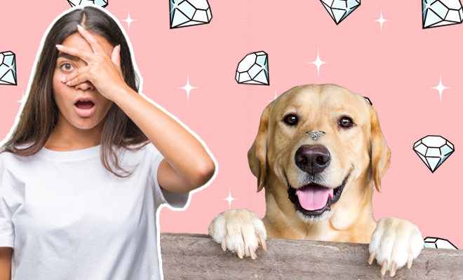 This Woman Announces Her Engagement By Putting Her Diamond Ring On Her Doggo’s Nose. This Didn’t End Well