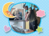 Old Couple Visiting Their Newborn Grandchild, With Their Dog, Through A Glass Door Is So Wholesome