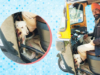 Woman Shares Story Of An Auto Driver In Pune Who Rides Along With A Puppy. She Called Him A Real-Life Santa