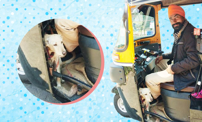 Woman Shares Story Of An Auto Driver In Pune Who Rides Along With A Puppy. She Called Him A Real-Life Santa Woman Shares Story Of An Auto Driver In Pune Who Rides Along With A Puppy. She Called Him A Real-Life Santa