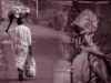 This Woman From Kerala Walks Kilometres Everyday To Distribute Books To The Women In Her Village
