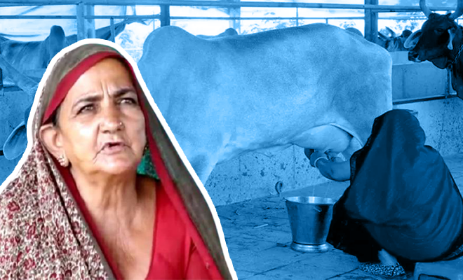 A 62-Year-Old Woman From Gujarat Started Her Dairy At Home And Has Sold Milk Worth Rs 1 Crore In The Last Year