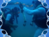 This Chennai Couple Had Their Wedding Ceremony Underwater In Their Traditional Outfits. We Love Their Adventurous Spirit.