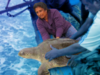 Dr. Supraja Dharini Runs Chennai’s Largest Sea Turtle Conservation Programme! She Inspires Us