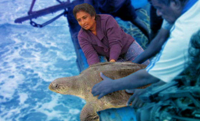 Fl-Chennai-woman-behind-one-of-India's-largest-sea-turtle-conservation-programmes