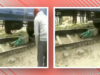 This Woman Lay On The Train Track After She Crawled Under It. It Was A Close Call