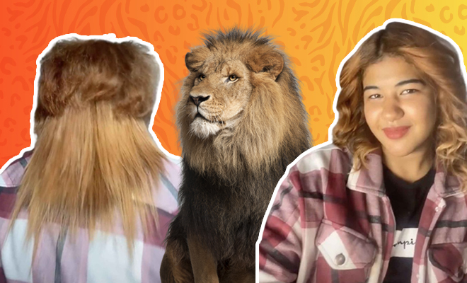 Woman Left “Looking Like A Lion” After A Major Haircut Disaster But The Transformation Is Jaw-Dropping
