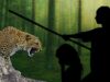 In Maharashtra, A Mother Fought Off A Leopard With Just A Bamboo Stick To Save Her Daughter
