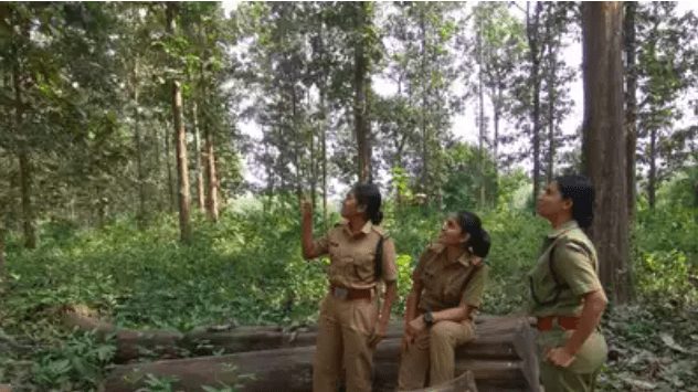 Woman forest officer transferred