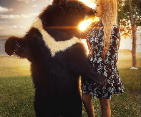 morebeautyImage