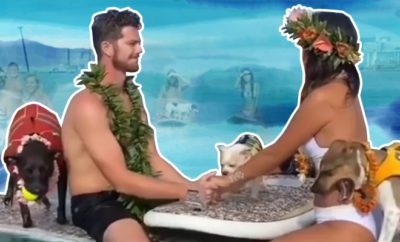 Bride-and-groom-get-married-in-style-in-the-middle-of-the-ocean,-check-out-VIRAL-video