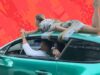This Russian Influencer Drove A Car With His Girlfriend Gagged, Tied And Handcuffed To Its Roof. He Said It Was A “Trust Test”
