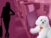 Woman Books Entire Air India Business Class Cabin To Travel With Pet Dog. We’re Low-key Jealous!