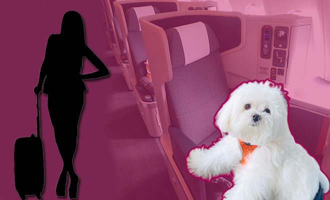 Woman Books Entire Air India Business Class Cabin To Travel With Pet Dog. We’re Low-key Jealous!