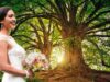 Women In Bristol Dress Up As Brides To ‘Marry’ Trees To Prevent Cutdown, Were Inspired From India’s Chipko Movement!