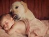 A Mother Dog Took Care Of Abandoned Newborn Girl In Chhattisgarh Village