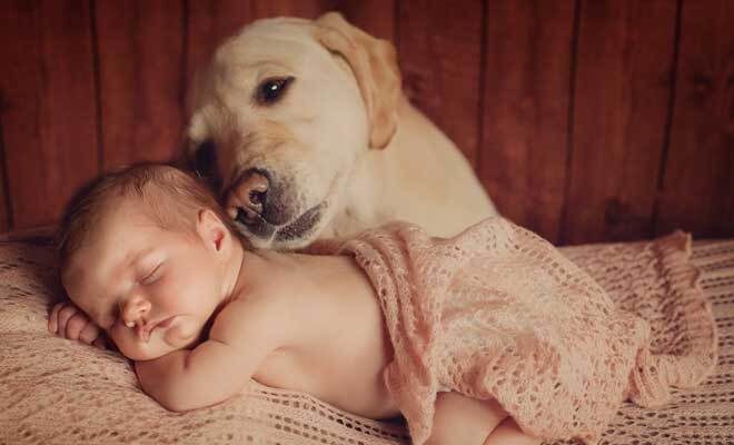 A Mother Dog Took Care Of Abandoned Newborn Girl In Chhattisgarh Village
