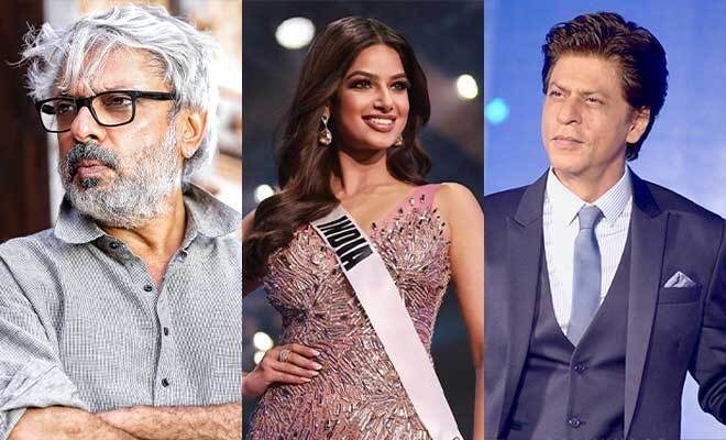 Harnaaz Sandhu Desires To Work With Sanjay Leela Bhansali And Influence People Like Shah Rukh Khan