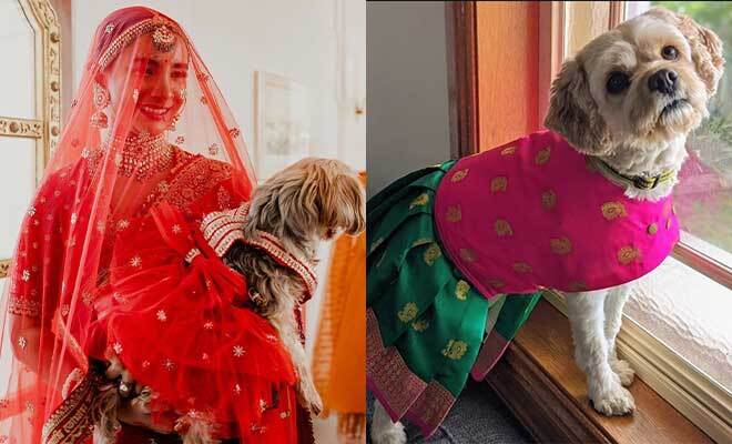 New Pet Fashion Trend Has Dogs Going Full Desi In Anarkalis And Sherwanis. Because Why Should Hoomans Have All The Fun?