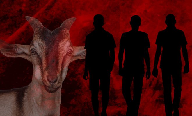Three Men Raped And Killed A Four Month Pregnant Goat. Can Men Get More Inhumane Than This?