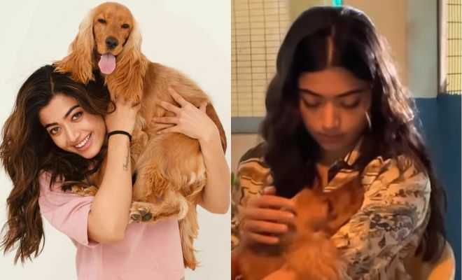 Rashmika Mandanna Petting Her Pet Baby Aura Is The Cutest Thing On The Internet