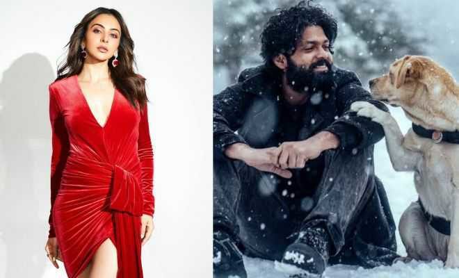 Rakul Preet Singh Reviews Rakshit Shetty Starrer ‘777 Charlie’, Calls It A Must-Watch