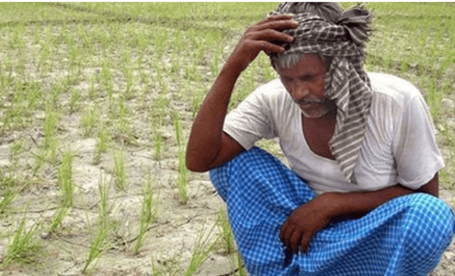 UP Farmer Seeks Action Against Lord Indra, Files Complaint Over Less Rainfall. Yeh Kya Ho Raha Hai?