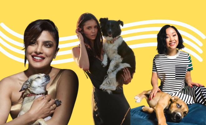 From Priyanka Chopra’s Diana To Nina Dobrev’s Maverick, These Celebrity Pets’ Instagram Accounts Can Cheer Up Every Hooman