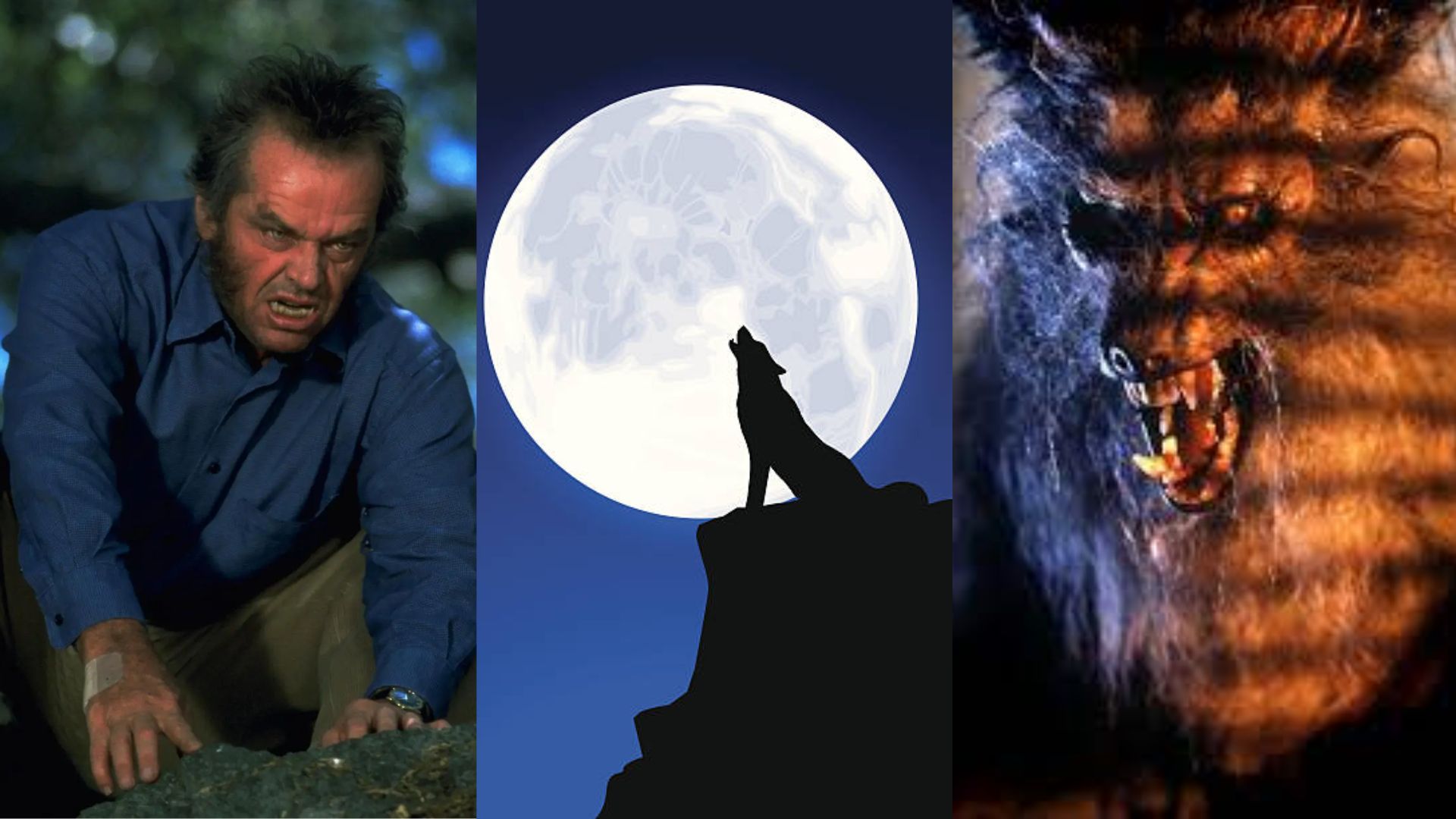 bhediya-watch-fulfill-your-werewolf-cravings-werewolves-varun-dhawan-kriti-sanon-scary-halloween