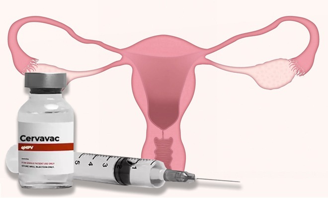 All You Need To Know About The Indigenously Developed Vaccine Against HPV And Cervical Cancer