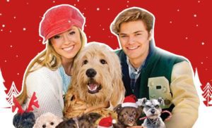 christmas-xmas-holidays-holiday-season-joyous-cheer-joy-dogs-cats-pets