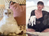 I Want To Be A Cat After Knowing Taylor Swift’s Cat’s Net Worth