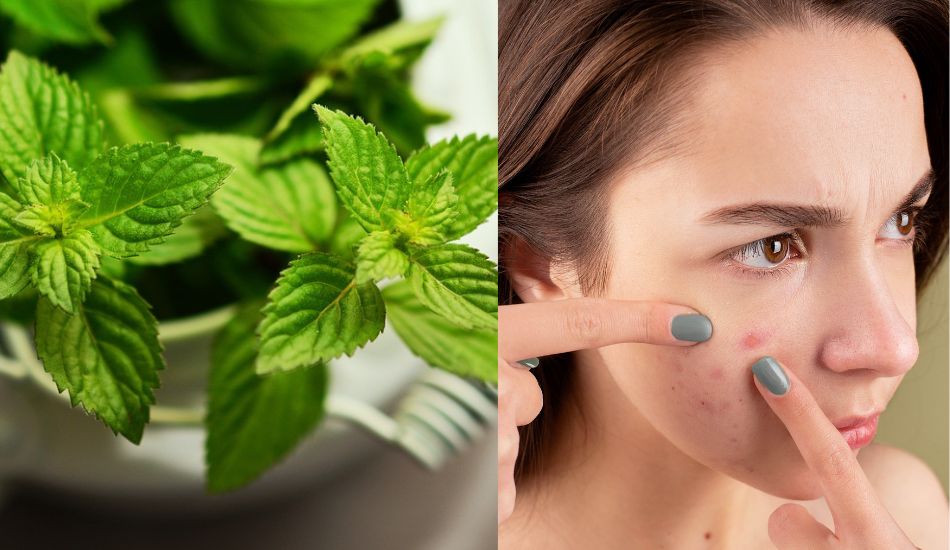 morebeautyImage