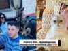 Priyanka Chopra’s Dog Gino Up Against Taylor Swift’s Cat, Chris Evans’ Dog For Fav Celeb Pet!