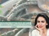 Steal Mira Kapoor’s Secret Salad Recipe To Staying Cool In The Summers!