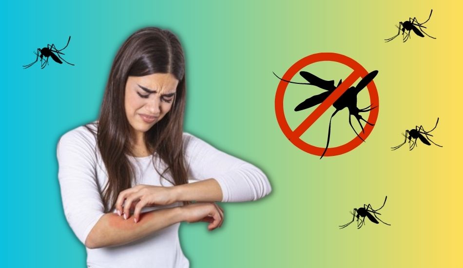मलेरिया से रहें कोसों दूर, घर से मच्छरों को भगाने करें यह आसान नए घरेलू उपाय!