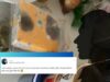Twitter Schools Man Who Needs A Girlfriend Because ‘Food Keeps Getting Spoiled’. Yet Another Manchild!