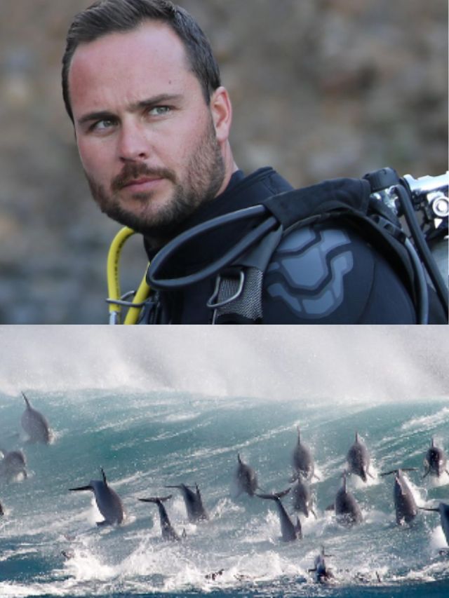 World Ocean Day From The Blue To Seaspiracy, 8 EyeOpening