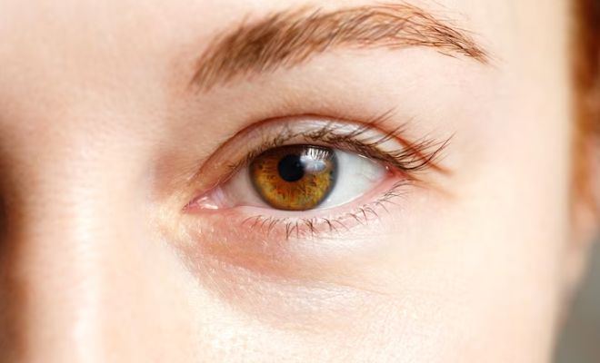 How-To-Make-Eye-Colour-Stand-Out-Using-Makeup-Brown-Eyes-Black-Eyes