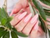 How To Take Care Of Your Nail Health If You Love Getting Nail Extensions?