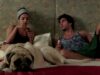 10 Years Of Dil Dhadakne Do: 5 Reasons Why Priyanka Chopra, Ranveer Singh As Ayesha And Kabir Are Sibling Goals!