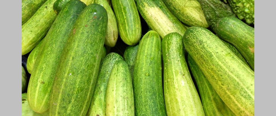 glowing-skin-secret-superfoods-by-Beauty- Expert-Shahnaz-Husain